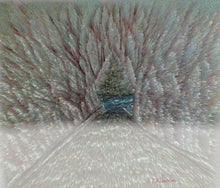 Load image into Gallery viewer, Woodland Walk