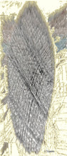 Load image into Gallery viewer, Gherkin