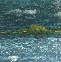 Load image into Gallery viewer, Award Winning - Exotic