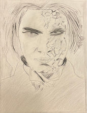 Load image into Gallery viewer, Award Winning - Daisen