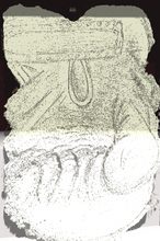 Load image into Gallery viewer, Body Art - Tattoos