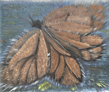 Load image into Gallery viewer, Transformation