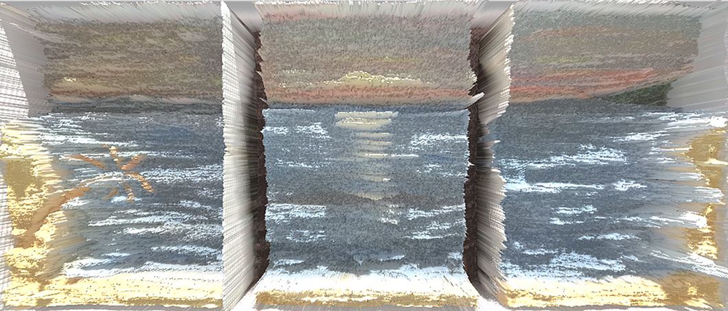 Book 3:  Koala's Vacation Adventures