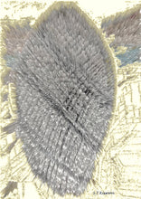 Load image into Gallery viewer, Gherkin
