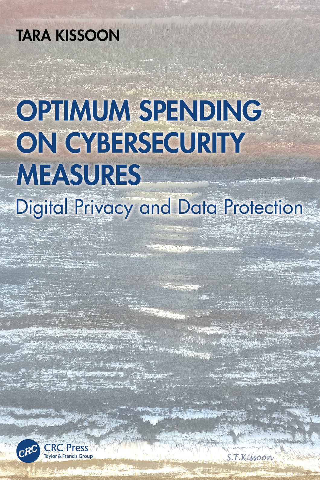 Optimal Spending on Cybersecurity Measures:  Digital Privacy and Data Protection