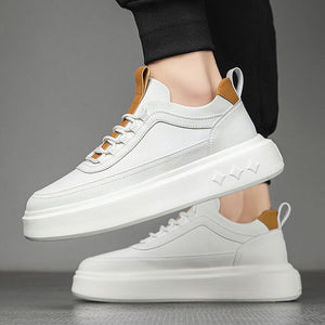 Men's Trendy Sneakers