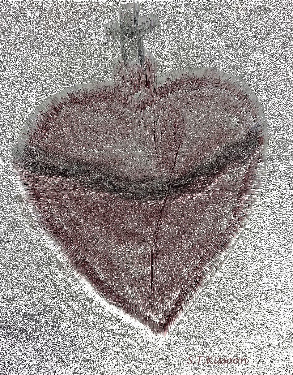 Book 2:  Road to Independence