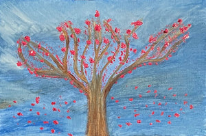 Cherry Blossoms