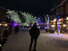 Load image into Gallery viewer, Blue Mountain

