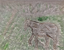 Load image into Gallery viewer, Independence
