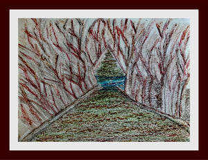 Woodland Walk
