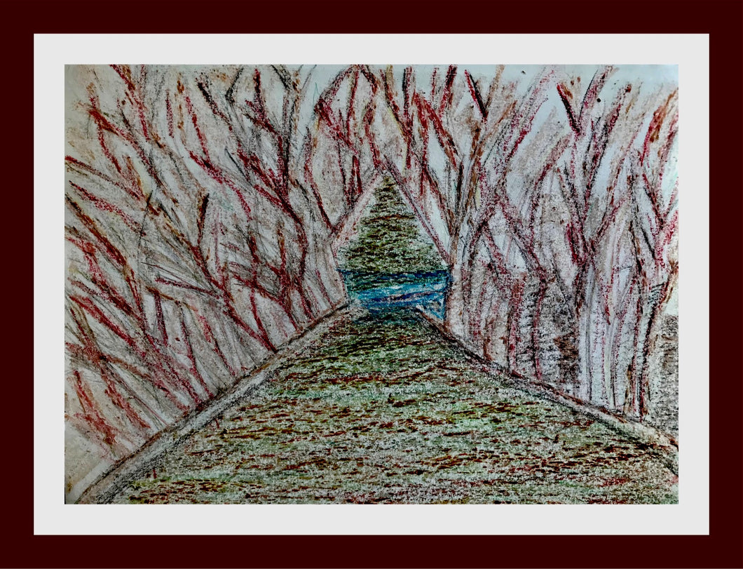 Woodland Walk